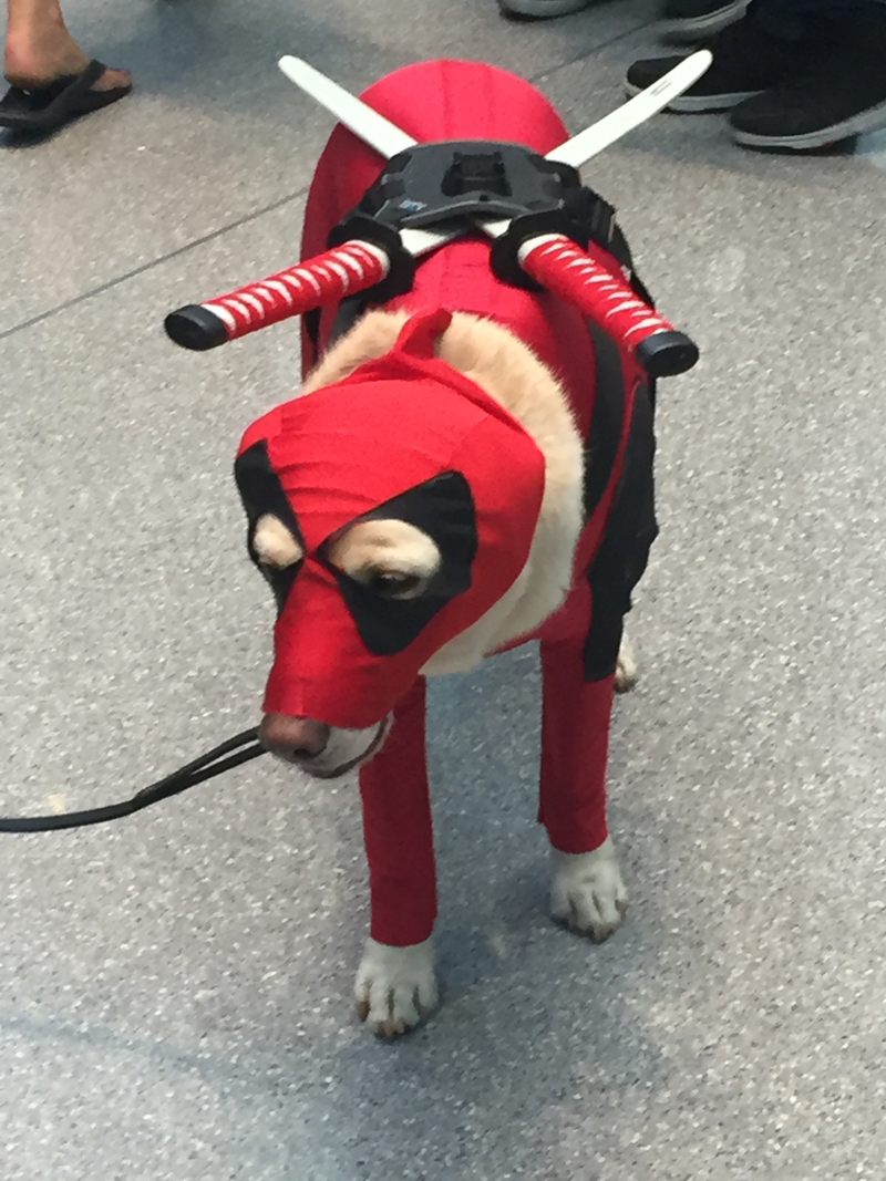 Dogpool wants chimichangas, of course.